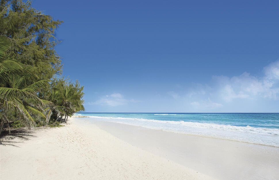 Team Building in Barbados