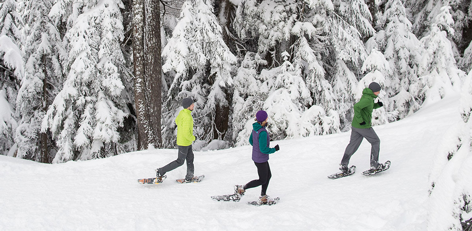 snowshoe run group
